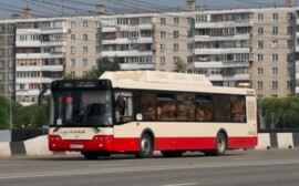ФАС попросила челябинцев помочь с расследованием фактов повышения цен на проезд