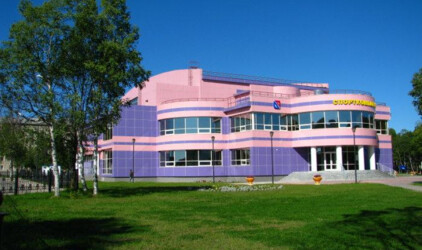 Зарубежные специалисты разработали концепцию РМК Арены для Челябинска