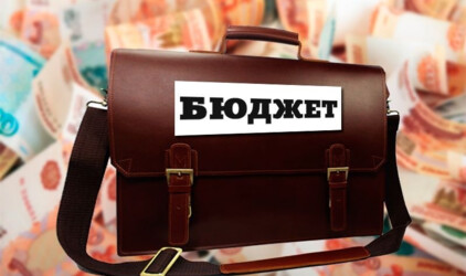 В Челябинской области в первом чтении приняли бюджет
