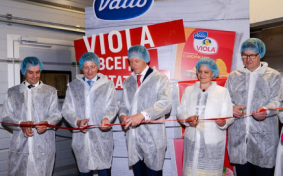 Полный ассортимент плавленых сыров Viola теперь производится в России