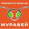 Муравей
